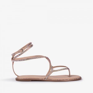 Beige Le Silla BELEN SANDAL | USA_LS50291