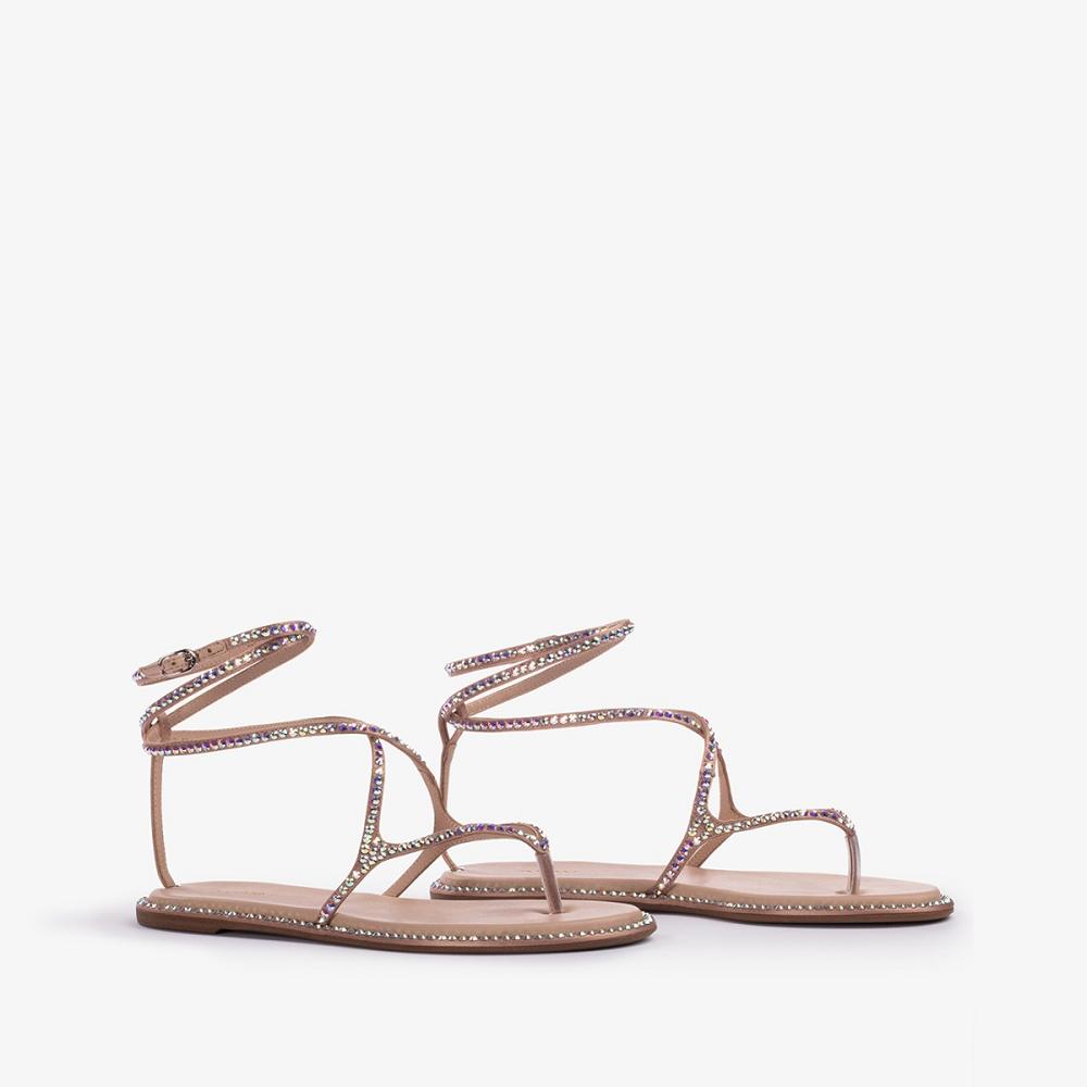 Beige Le Silla BELEN SANDAL | USA_LS22002