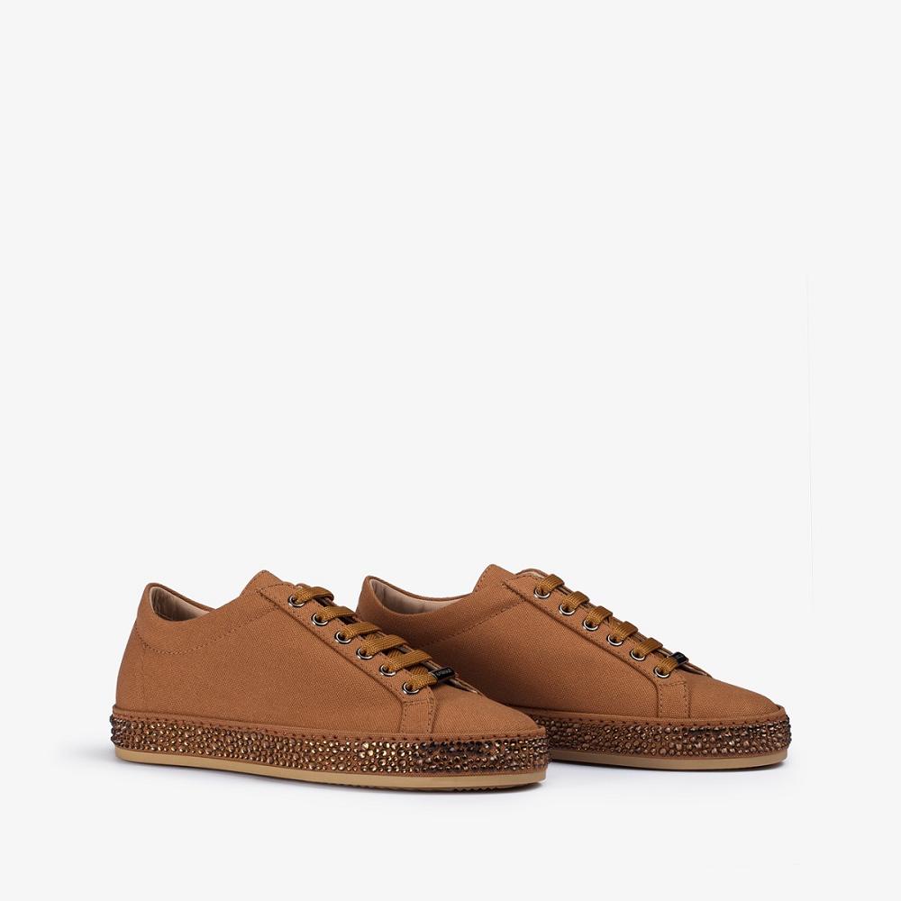 Brown Le Silla ANDREA SNEAKER | USA_LS61242