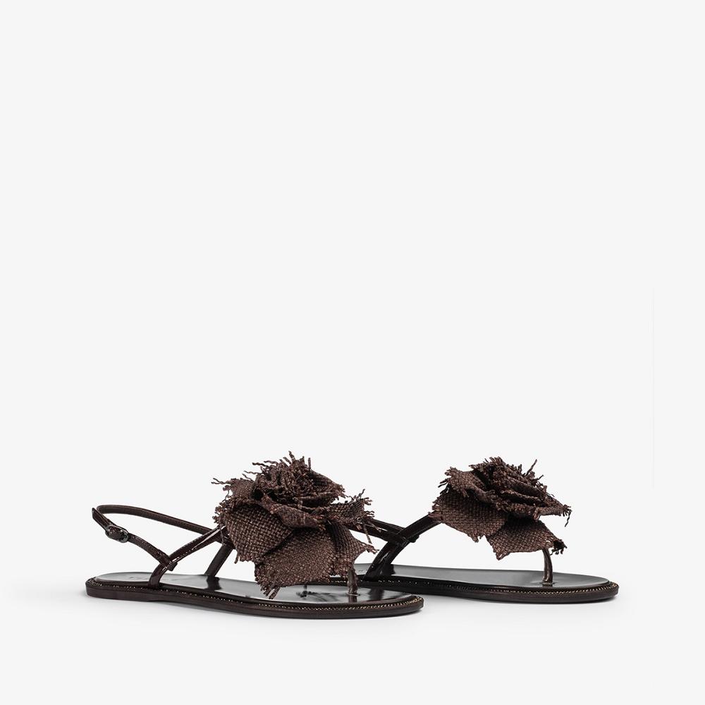 Dark Chocolate Le Silla ROSE SANDAL | USA_LS14331