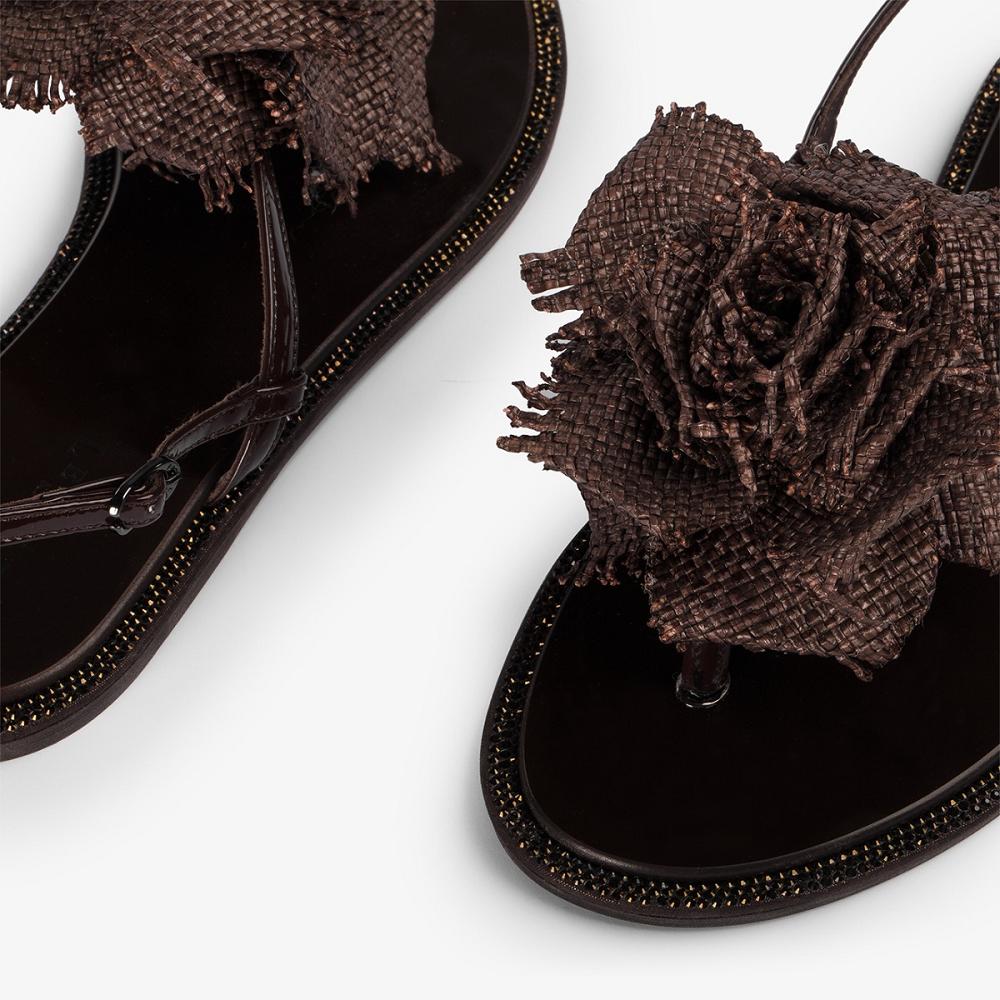 Dark Chocolate Le Silla ROSE SANDAL | USA_LS14331