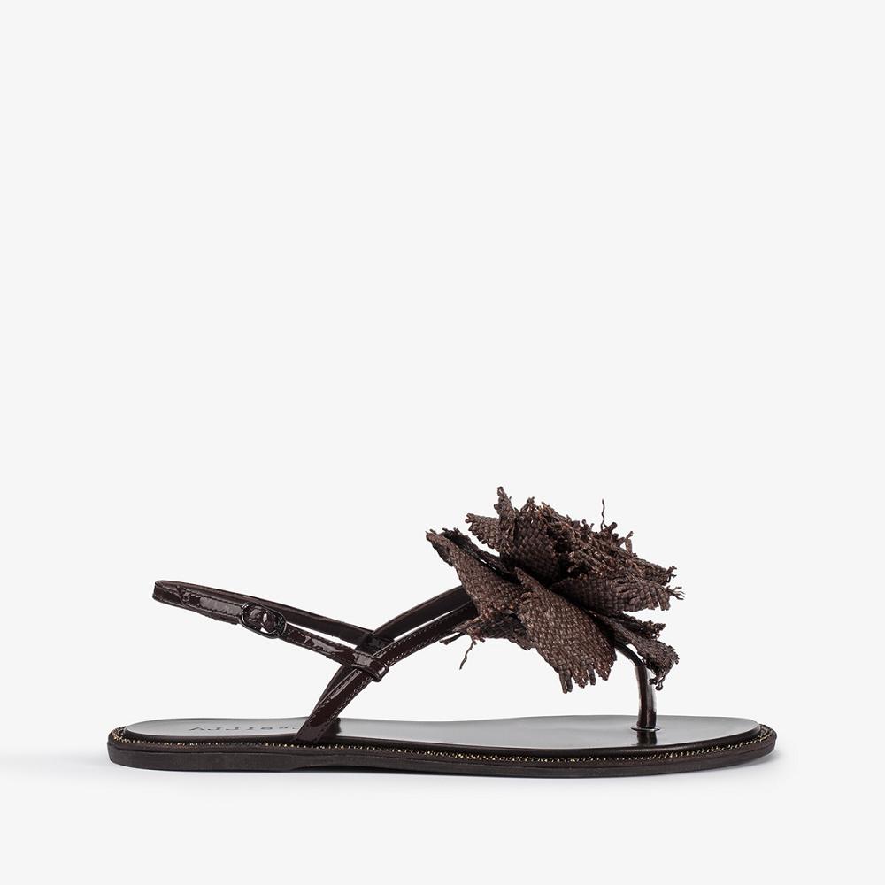 Dark Chocolate Le Silla ROSE SANDAL | USA_LS14331