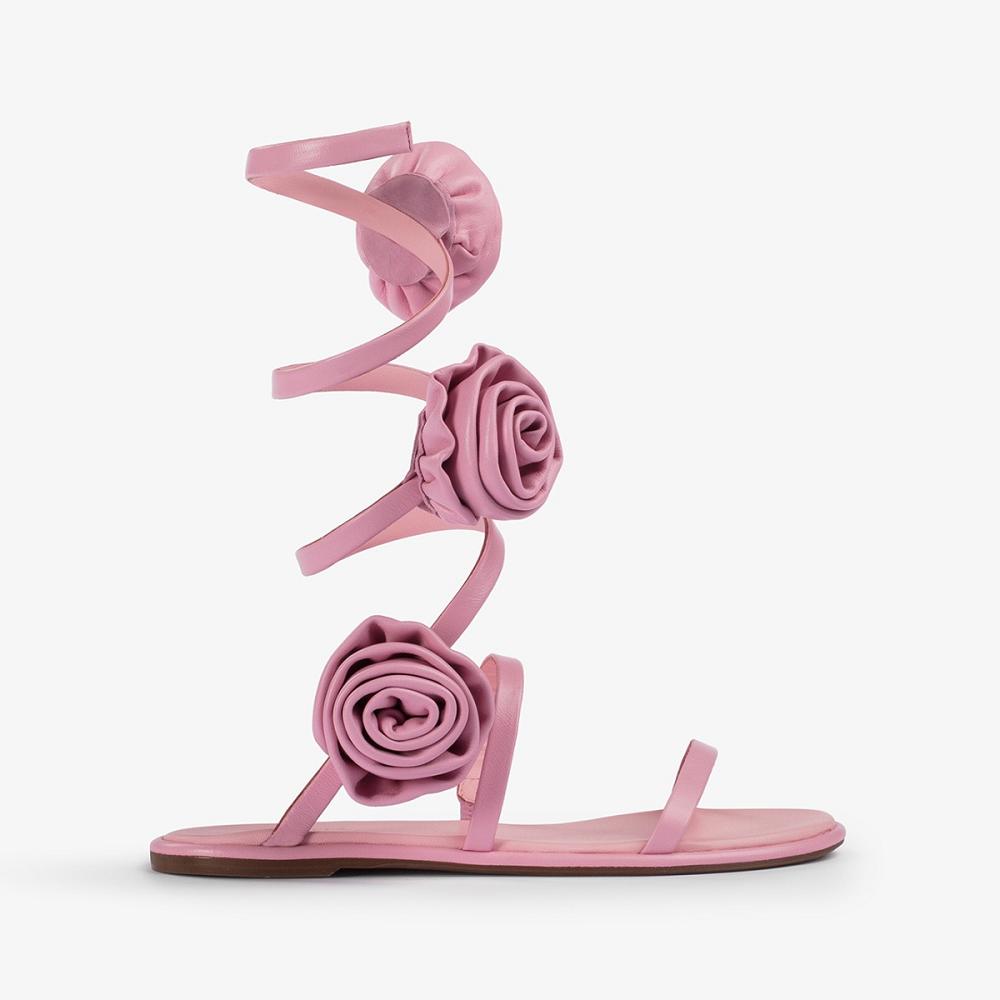 Pink Le Silla ROSE SANDAL | USA_LS30556